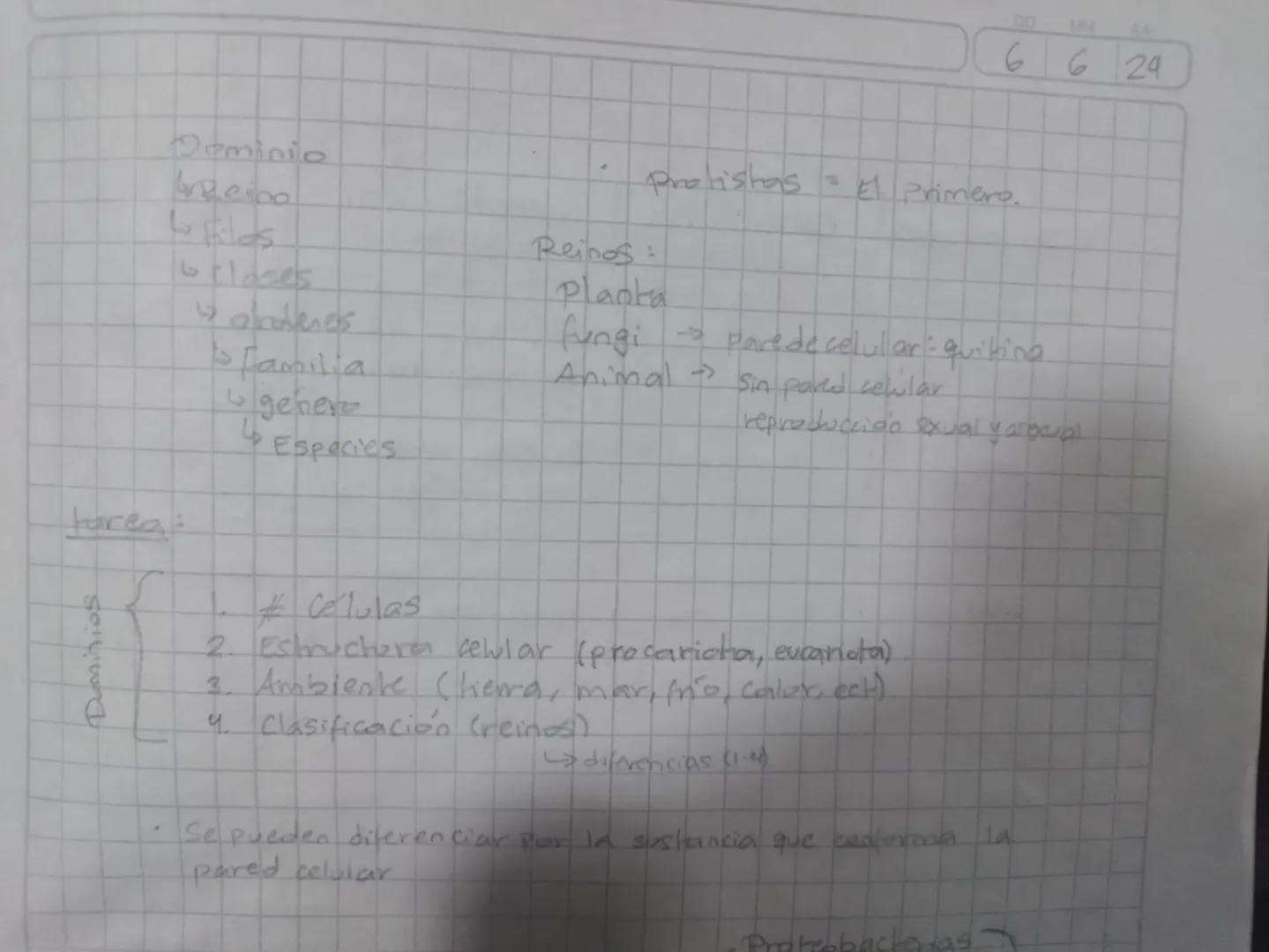 DD
MM
AA
6624
Dominio
نا
geino
Lo filos
belases
alravenes
Familia
genero
با
Especies
Protistas =
El Primero.
Reinos:
Planta
fungi parede cel