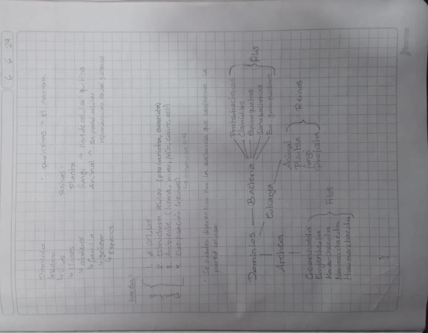 DD
MM
AA
6624
Dominio
نا
geino
Lo filos
belases
alravenes
Familia
genero
با
Especies
Protistas =
El Primero.
Reinos:
Planta
fungi parede cel