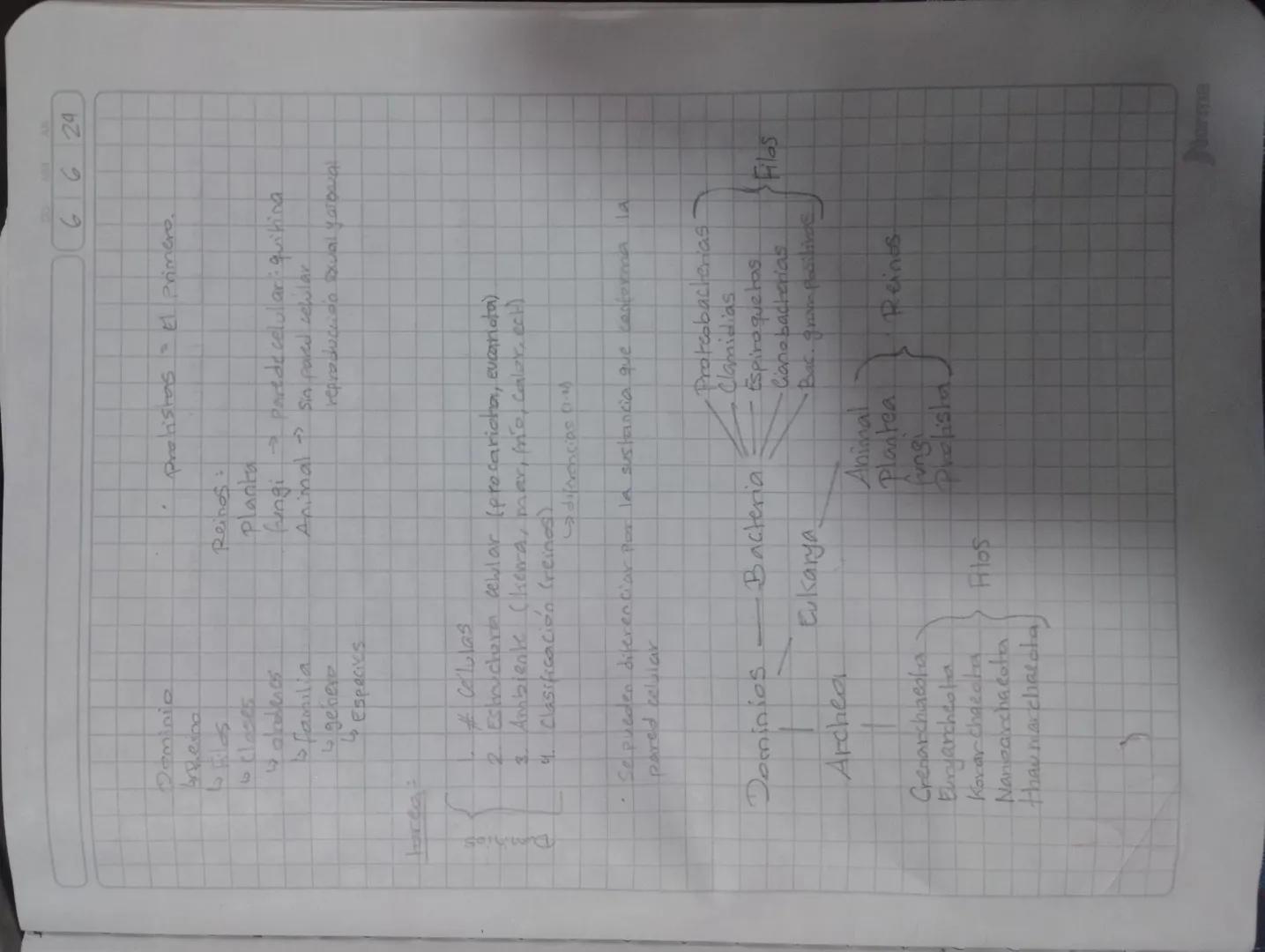 DD
MM
AA
6624
Dominio
نا
geino
Lo filos
belases
alravenes
Familia
genero
با
Especies
Protistas =
El Primero.
Reinos:
Planta
fungi parede cel