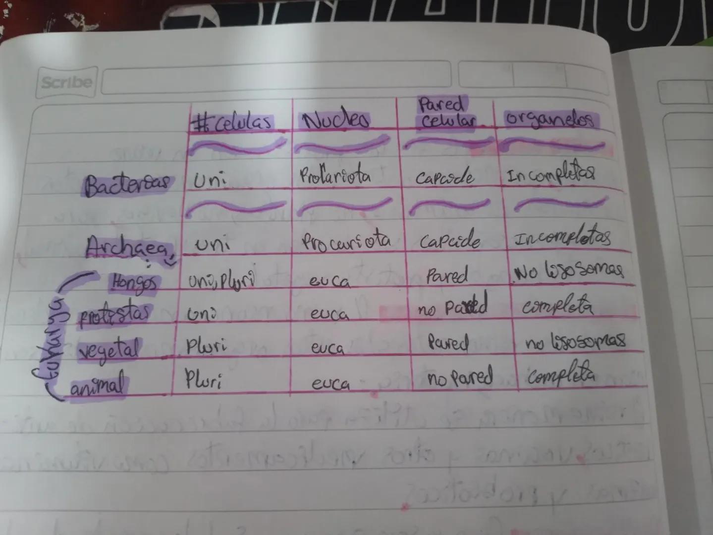 DD
MM
AA
6624
Dominio
نا
geino
Lo filos
belases
alravenes
Familia
genero
با
Especies
Protistas =
El Primero.
Reinos:
Planta
fungi parede cel