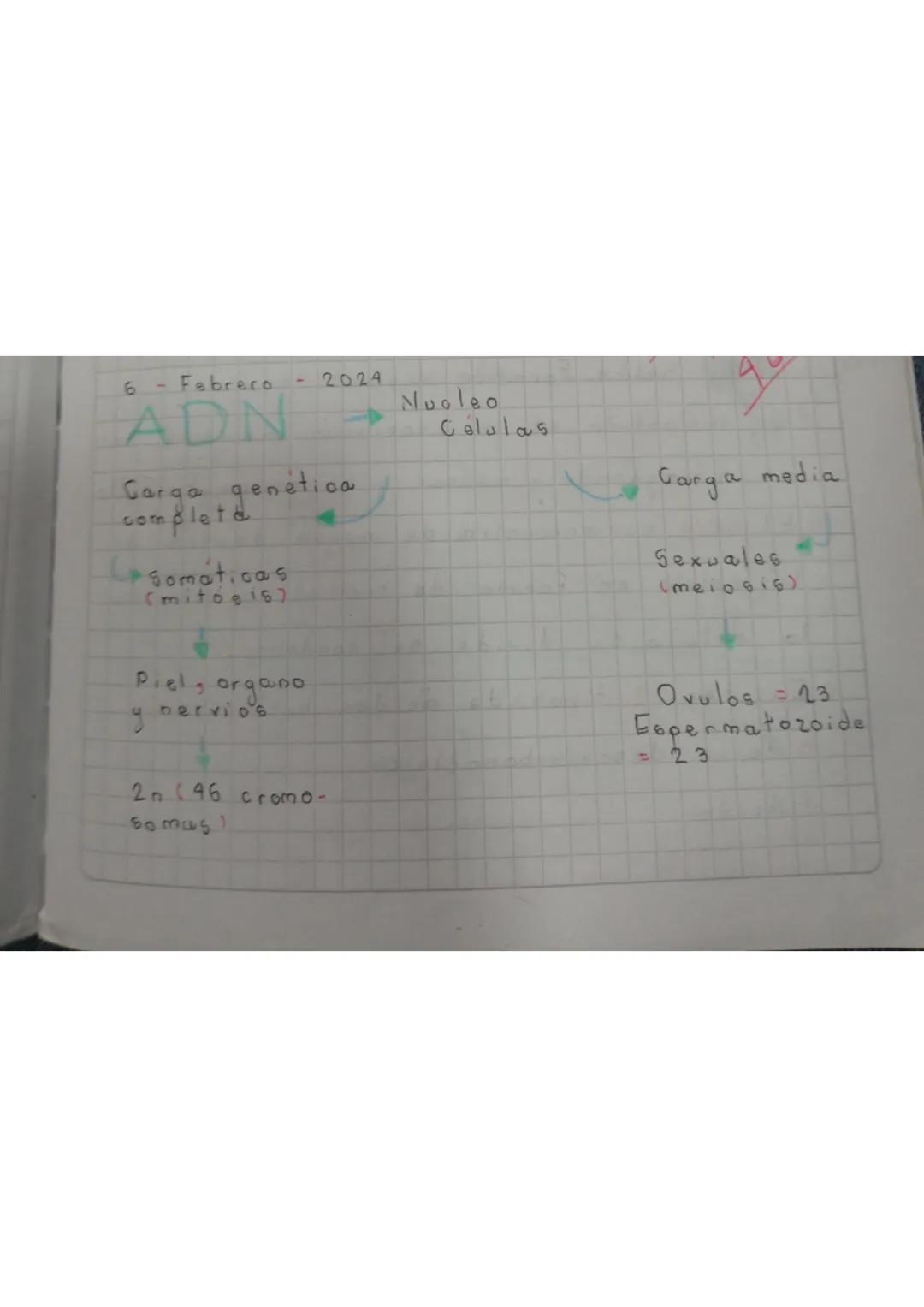 6
Febrero
2024
ADN
19
Carga genetic
completa
Legomaticas
(mitosis)
Piel, organo
nervios
2n (46 cromo-
Somas
Nucleo
Células
Garga media
Sexua