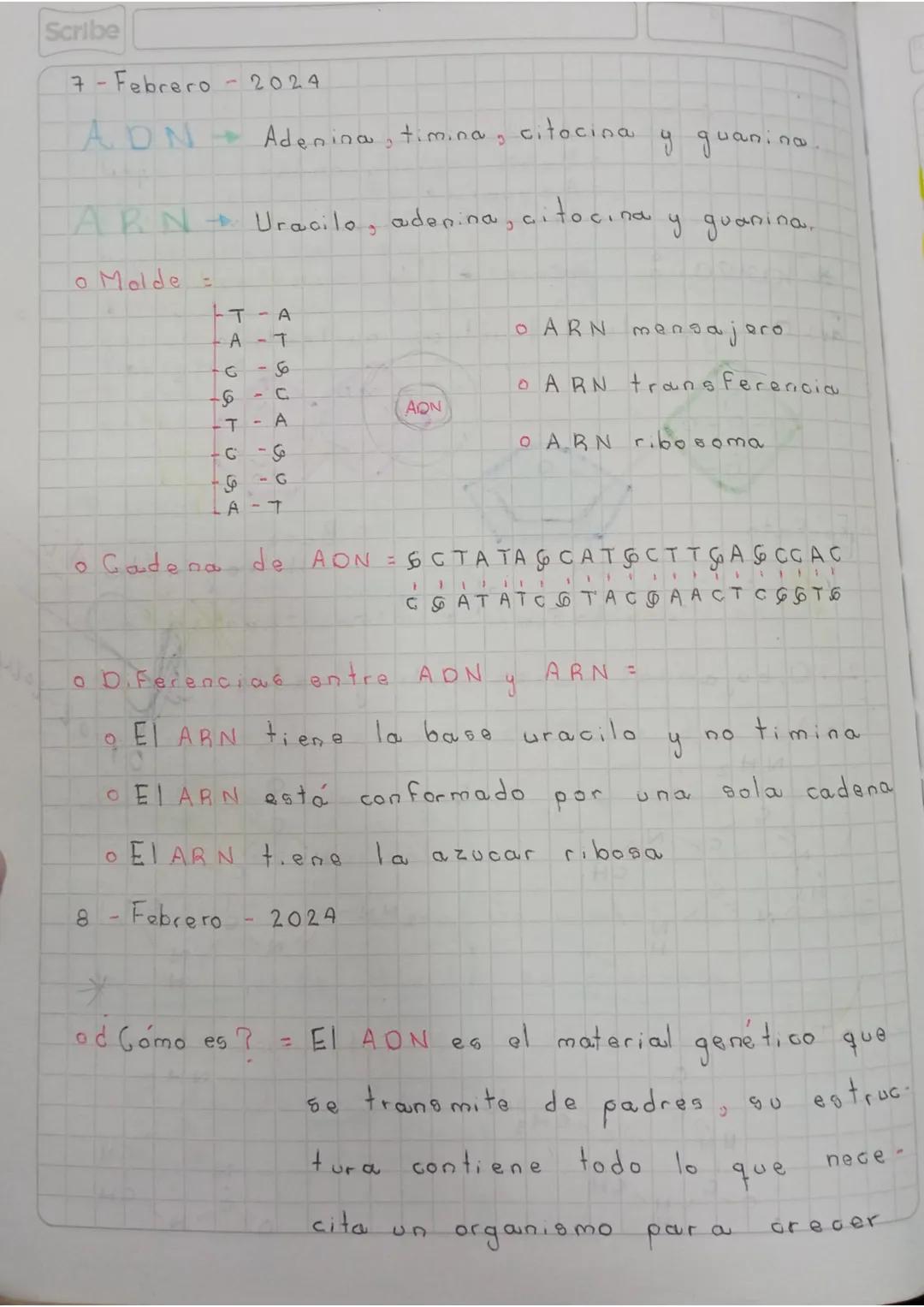 6
Febrero
2024
ADN
19
Carga genetic
completa
Legomaticas
(mitosis)
Piel, organo
nervios
2n (46 cromo-
Somas
Nucleo
Células
Garga media
Sexua
