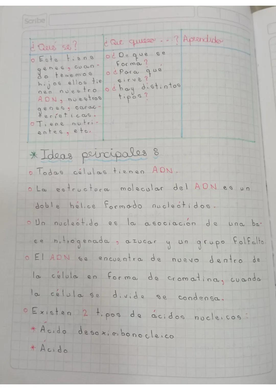 6
Febrero
2024
ADN
19
Carga genetic
completa
Legomaticas
(mitosis)
Piel, organo
nervios
2n (46 cromo-
Somas
Nucleo
Células
Garga media
Sexua