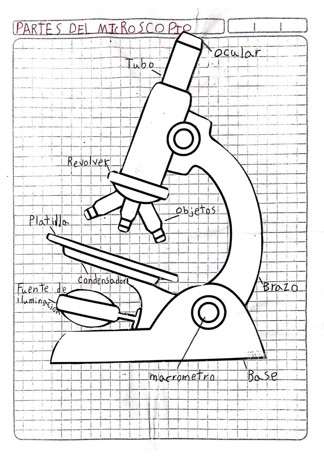 PARTES DEL MICROSCOPIQ
Platilla
Revolver
Condensador
Fuente de
iluminacio
ocular
lar
Tubo
objetos
Brazd
macrometro
Base