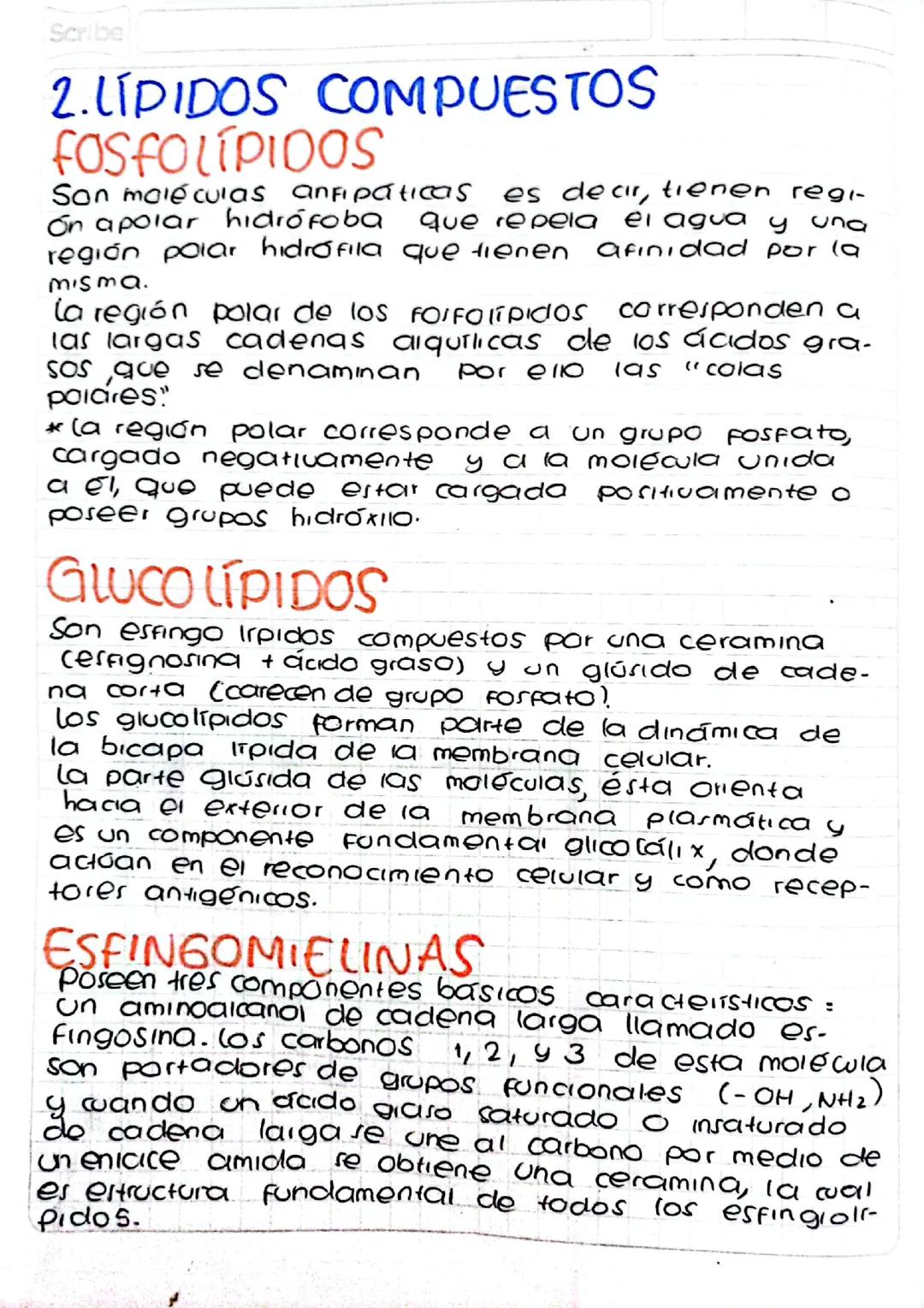 Apuntes sobre lípidos compuestos