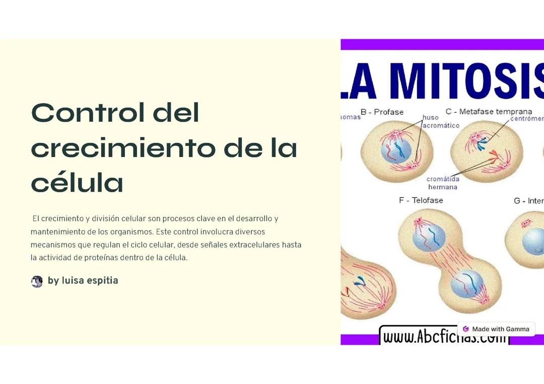 Control del crecimiento de la celula