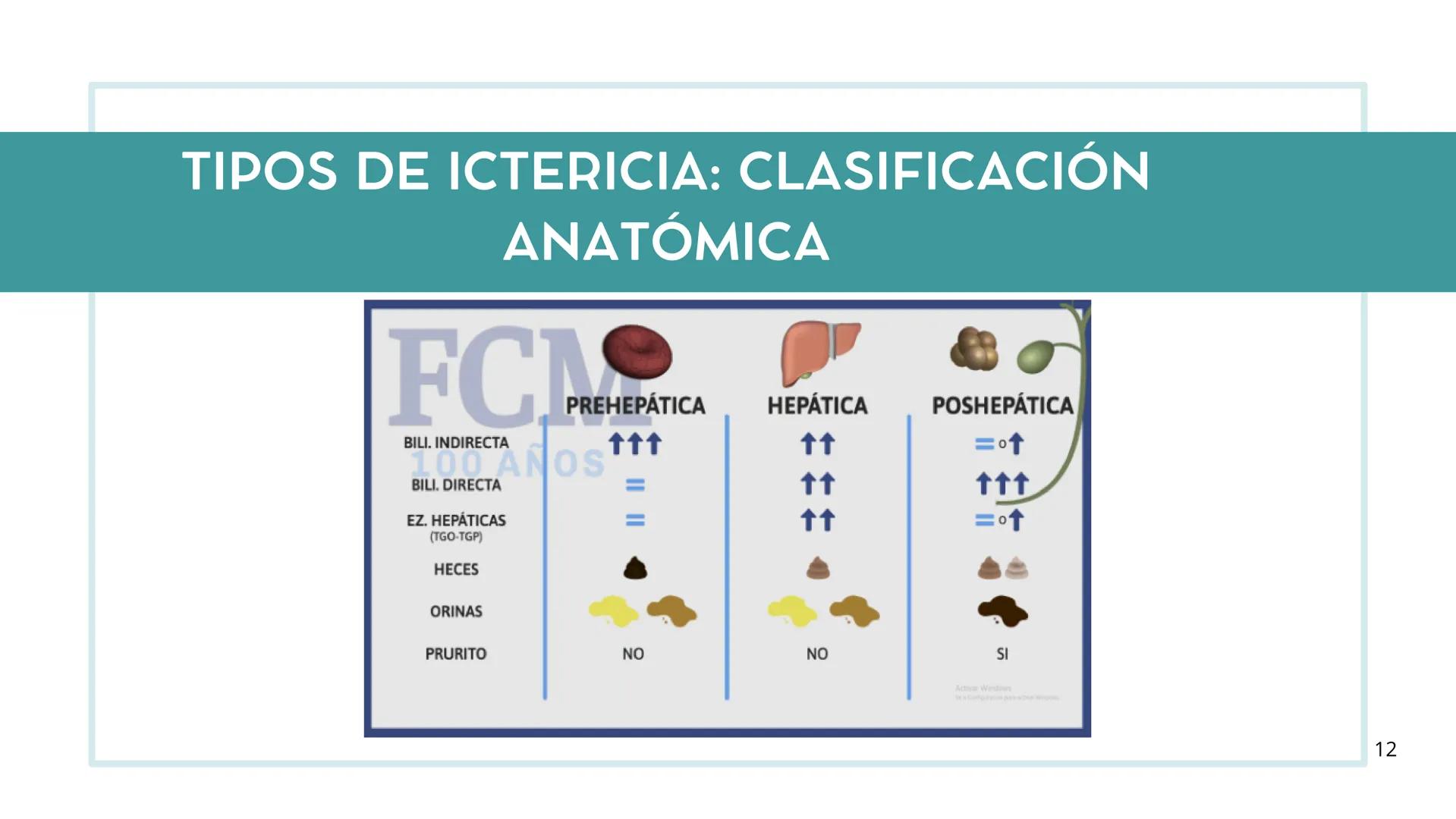 • Colesterol
• Electrolitos y
agua
• Sales Biliares
• Bilirrubina
• Fosfolipidos
FORMACIÓN DE LA
BILIS
Canal biliar
Arteria
Vena
Canaliculos