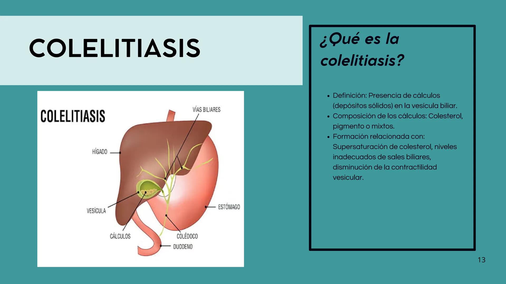 • Colesterol
• Electrolitos y
agua
• Sales Biliares
• Bilirrubina
• Fosfolipidos
FORMACIÓN DE LA
BILIS
Canal biliar
Arteria
Vena
Canaliculos