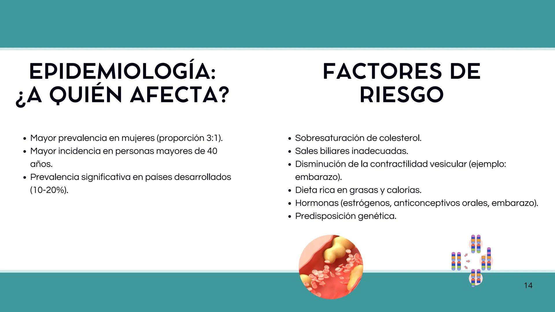 • Colesterol
• Electrolitos y
agua
• Sales Biliares
• Bilirrubina
• Fosfolipidos
FORMACIÓN DE LA
BILIS
Canal biliar
Arteria
Vena
Canaliculos