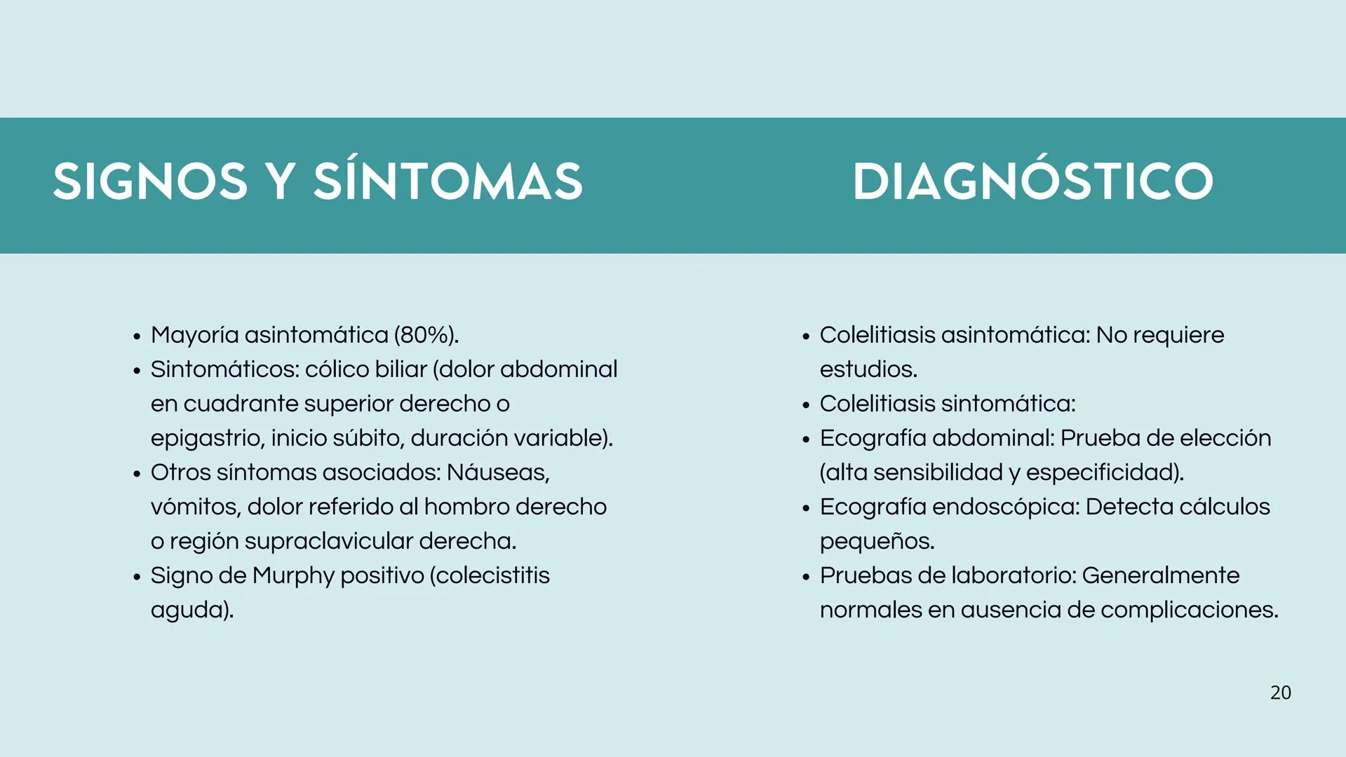 • Colesterol
• Electrolitos y
agua
• Sales Biliares
• Bilirrubina
• Fosfolipidos
FORMACIÓN DE LA
BILIS
Canal biliar
Arteria
Vena
Canaliculos
