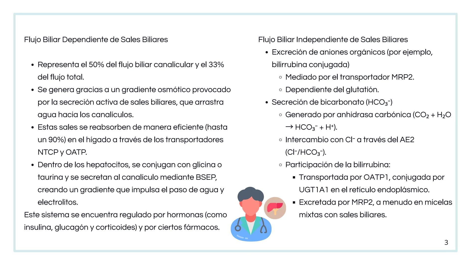 • Colesterol
• Electrolitos y
agua
• Sales Biliares
• Bilirrubina
• Fosfolipidos
FORMACIÓN DE LA
BILIS
Canal biliar
Arteria
Vena
Canaliculos
