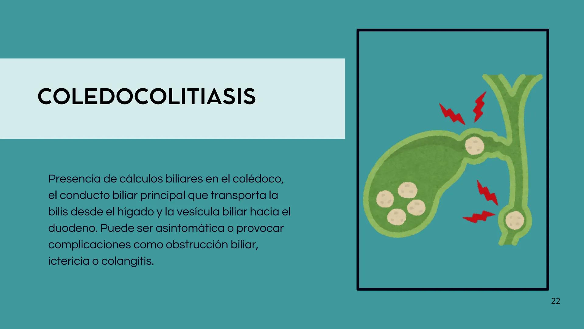 • Colesterol
• Electrolitos y
agua
• Sales Biliares
• Bilirrubina
• Fosfolipidos
FORMACIÓN DE LA
BILIS
Canal biliar
Arteria
Vena
Canaliculos