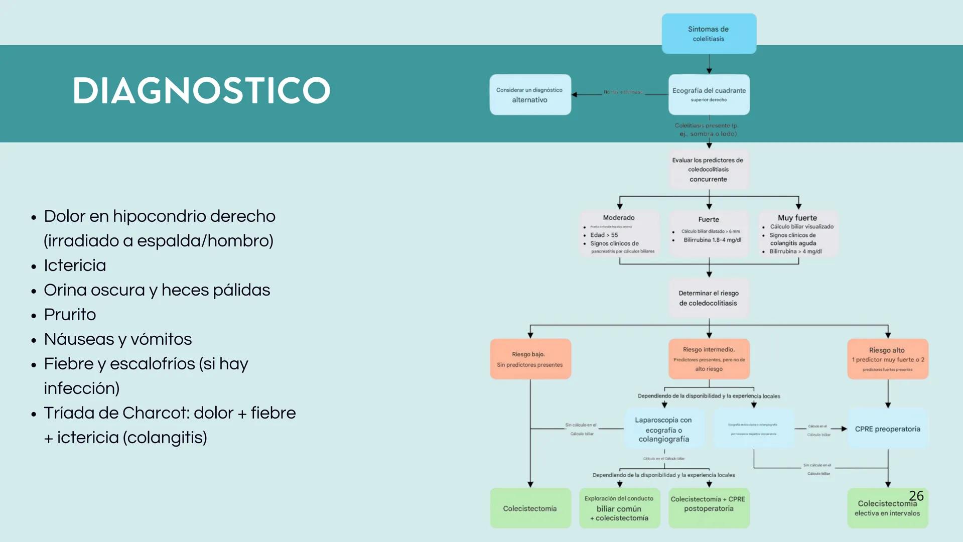 • Colesterol
• Electrolitos y
agua
• Sales Biliares
• Bilirrubina
• Fosfolipidos
FORMACIÓN DE LA
BILIS
Canal biliar
Arteria
Vena
Canaliculos