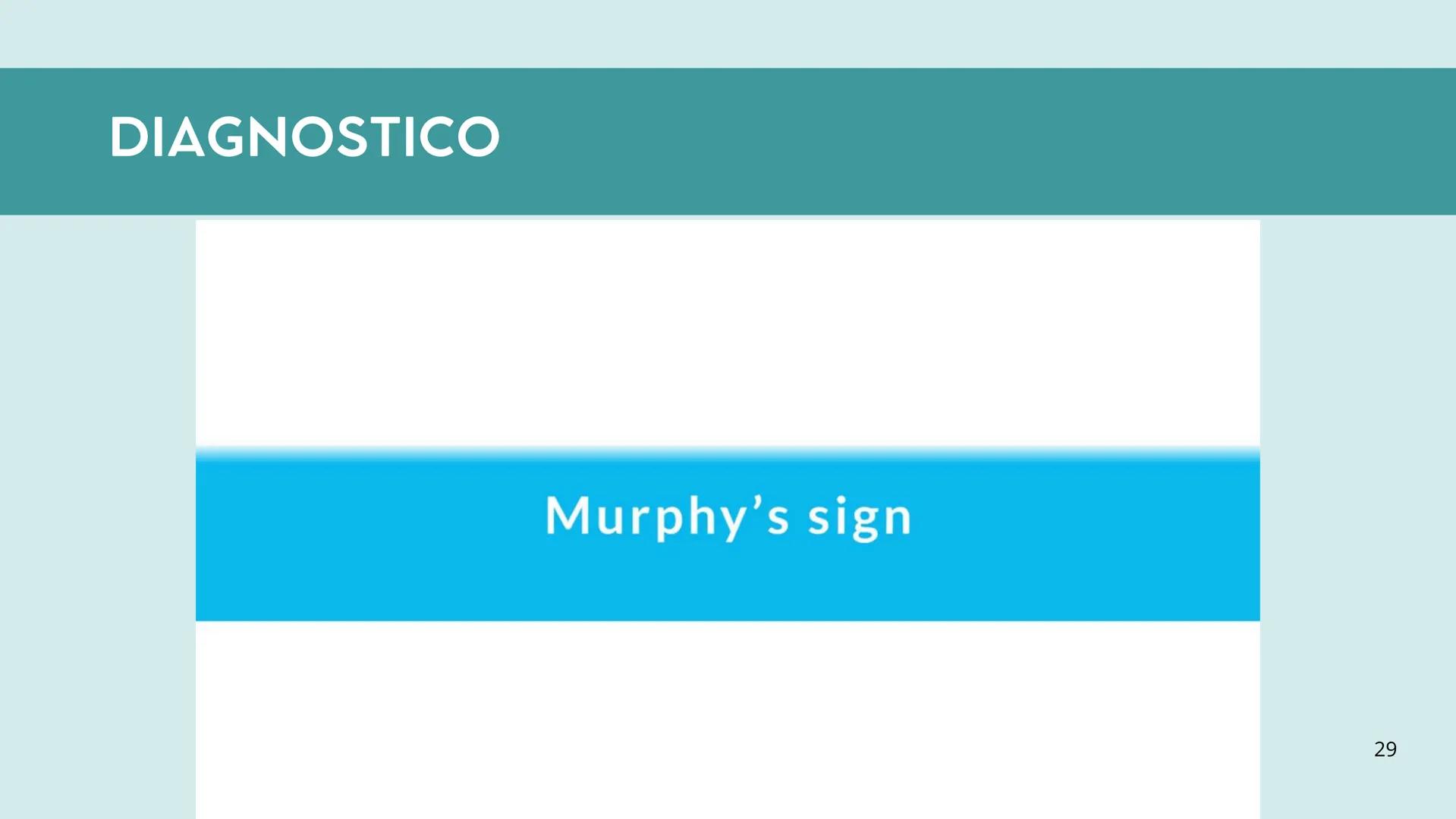 • Colesterol
• Electrolitos y
agua
• Sales Biliares
• Bilirrubina
• Fosfolipidos
FORMACIÓN DE LA
BILIS
Canal biliar
Arteria
Vena
Canaliculos