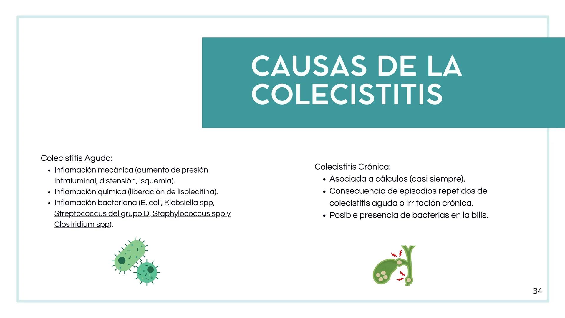 • Colesterol
• Electrolitos y
agua
• Sales Biliares
• Bilirrubina
• Fosfolipidos
FORMACIÓN DE LA
BILIS
Canal biliar
Arteria
Vena
Canaliculos