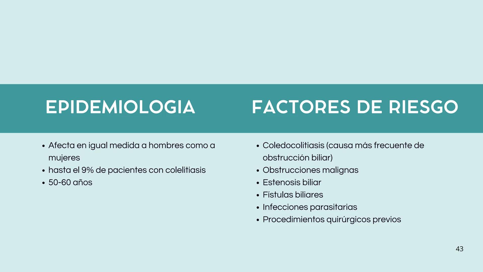 • Colesterol
• Electrolitos y
agua
• Sales Biliares
• Bilirrubina
• Fosfolipidos
FORMACIÓN DE LA
BILIS
Canal biliar
Arteria
Vena
Canaliculos