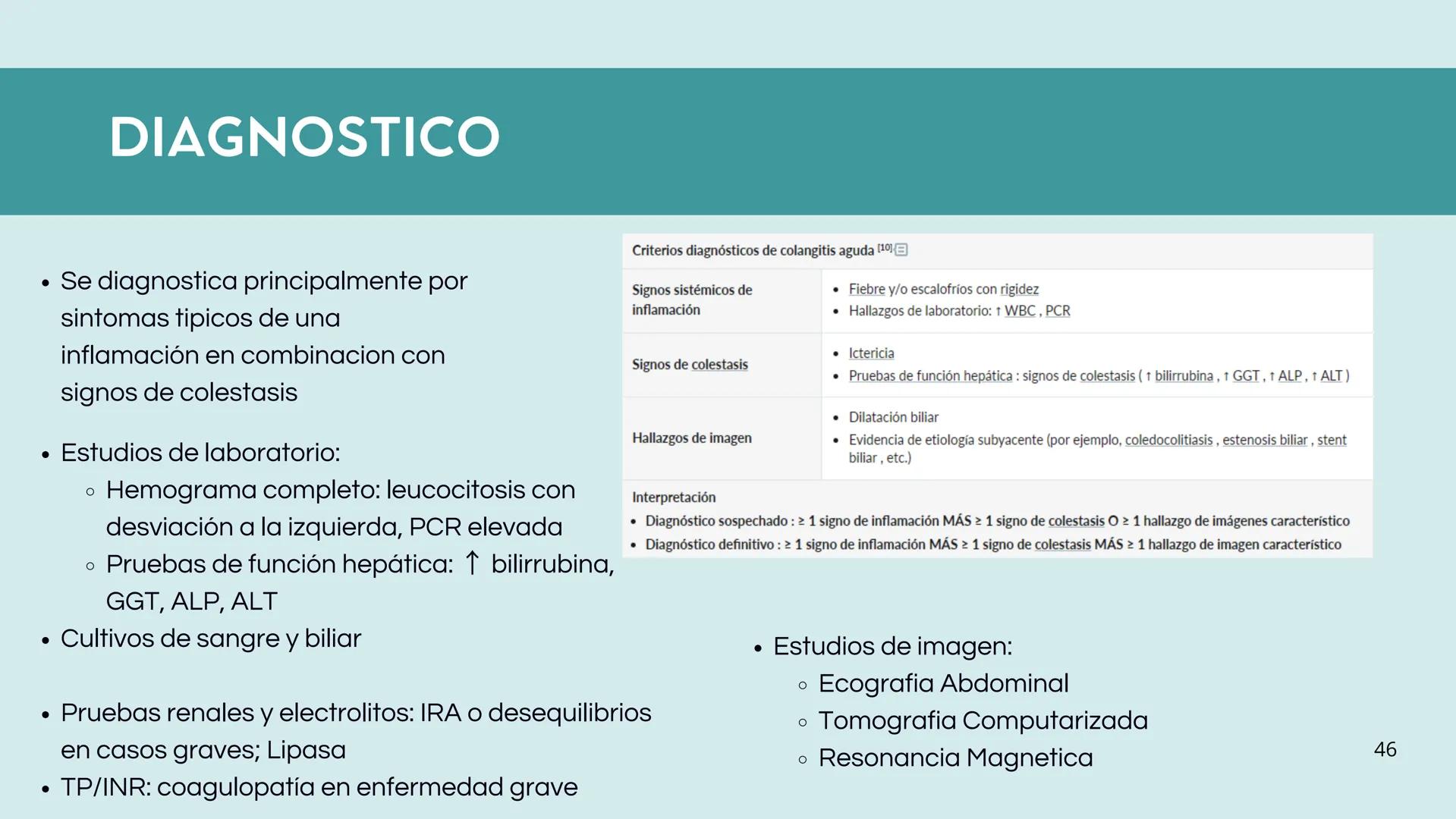 • Colesterol
• Electrolitos y
agua
• Sales Biliares
• Bilirrubina
• Fosfolipidos
FORMACIÓN DE LA
BILIS
Canal biliar
Arteria
Vena
Canaliculos