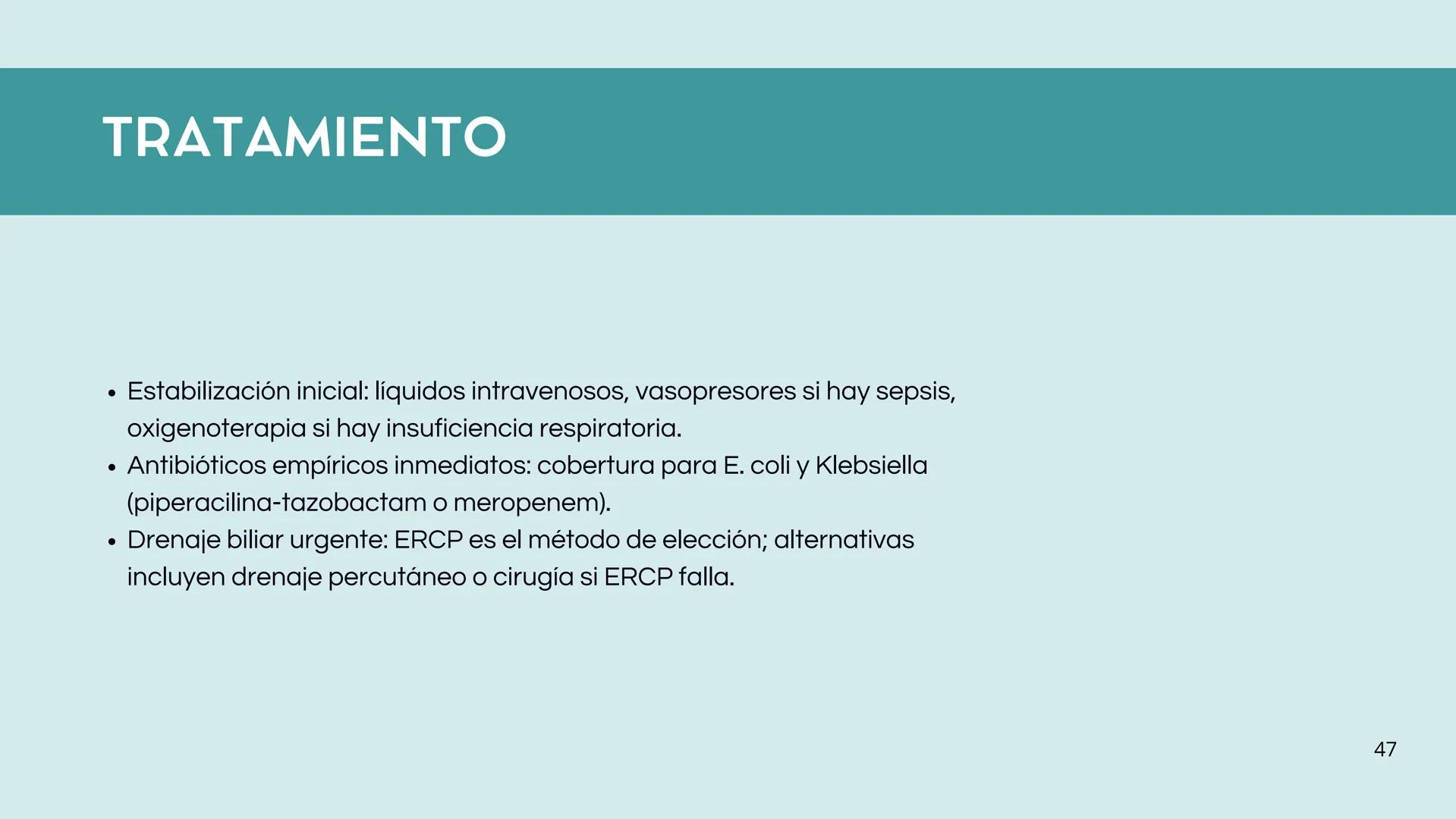 • Colesterol
• Electrolitos y
agua
• Sales Biliares
• Bilirrubina
• Fosfolipidos
FORMACIÓN DE LA
BILIS
Canal biliar
Arteria
Vena
Canaliculos