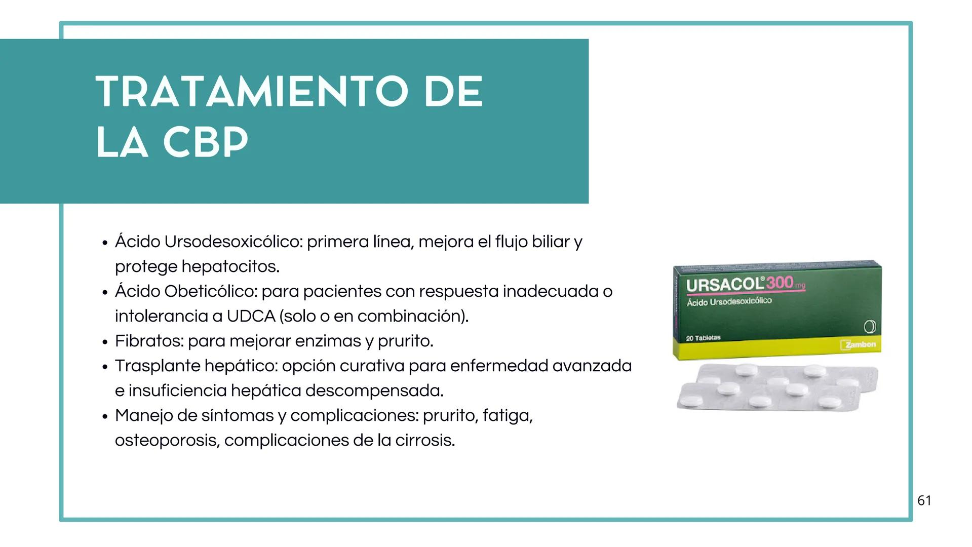 • Colesterol
• Electrolitos y
agua
• Sales Biliares
• Bilirrubina
• Fosfolipidos
FORMACIÓN DE LA
BILIS
Canal biliar
Arteria
Vena
Canaliculos