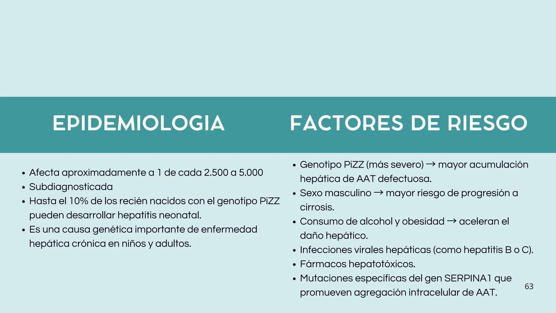 • Colesterol
• Electrolitos y
agua
• Sales Biliares
• Bilirrubina
• Fosfolipidos
FORMACIÓN DE LA
BILIS
Canal biliar
Arteria
Vena
Canaliculos