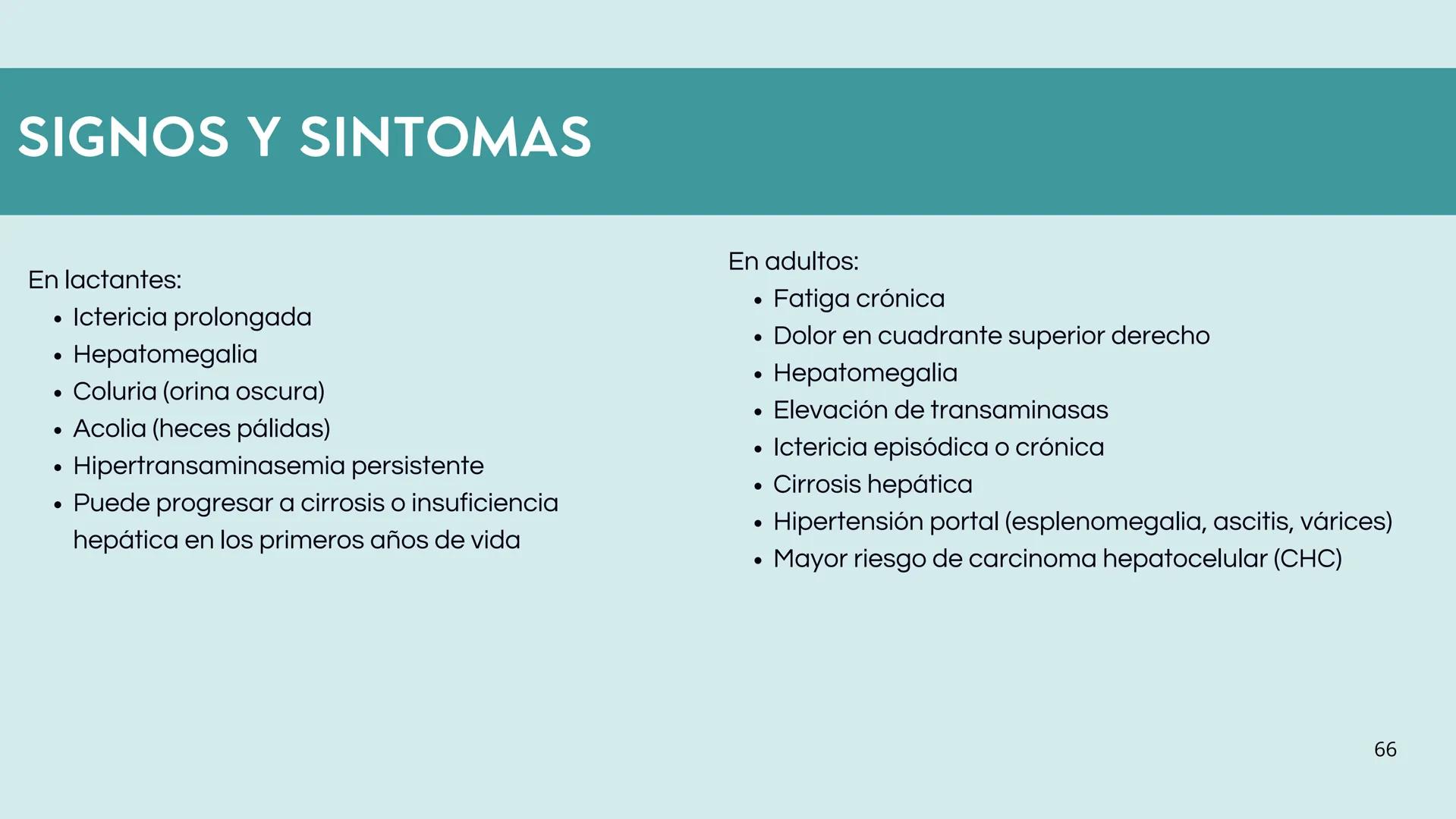 • Colesterol
• Electrolitos y
agua
• Sales Biliares
• Bilirrubina
• Fosfolipidos
FORMACIÓN DE LA
BILIS
Canal biliar
Arteria
Vena
Canaliculos