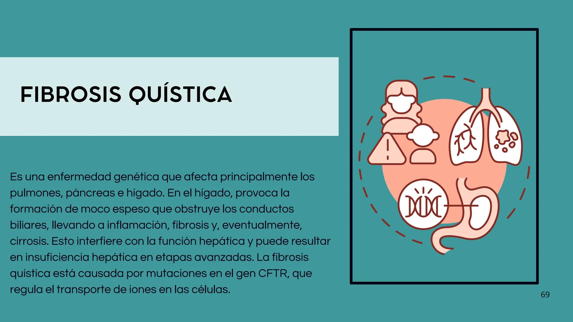 • Colesterol
• Electrolitos y
agua
• Sales Biliares
• Bilirrubina
• Fosfolipidos
FORMACIÓN DE LA
BILIS
Canal biliar
Arteria
Vena
Canaliculos