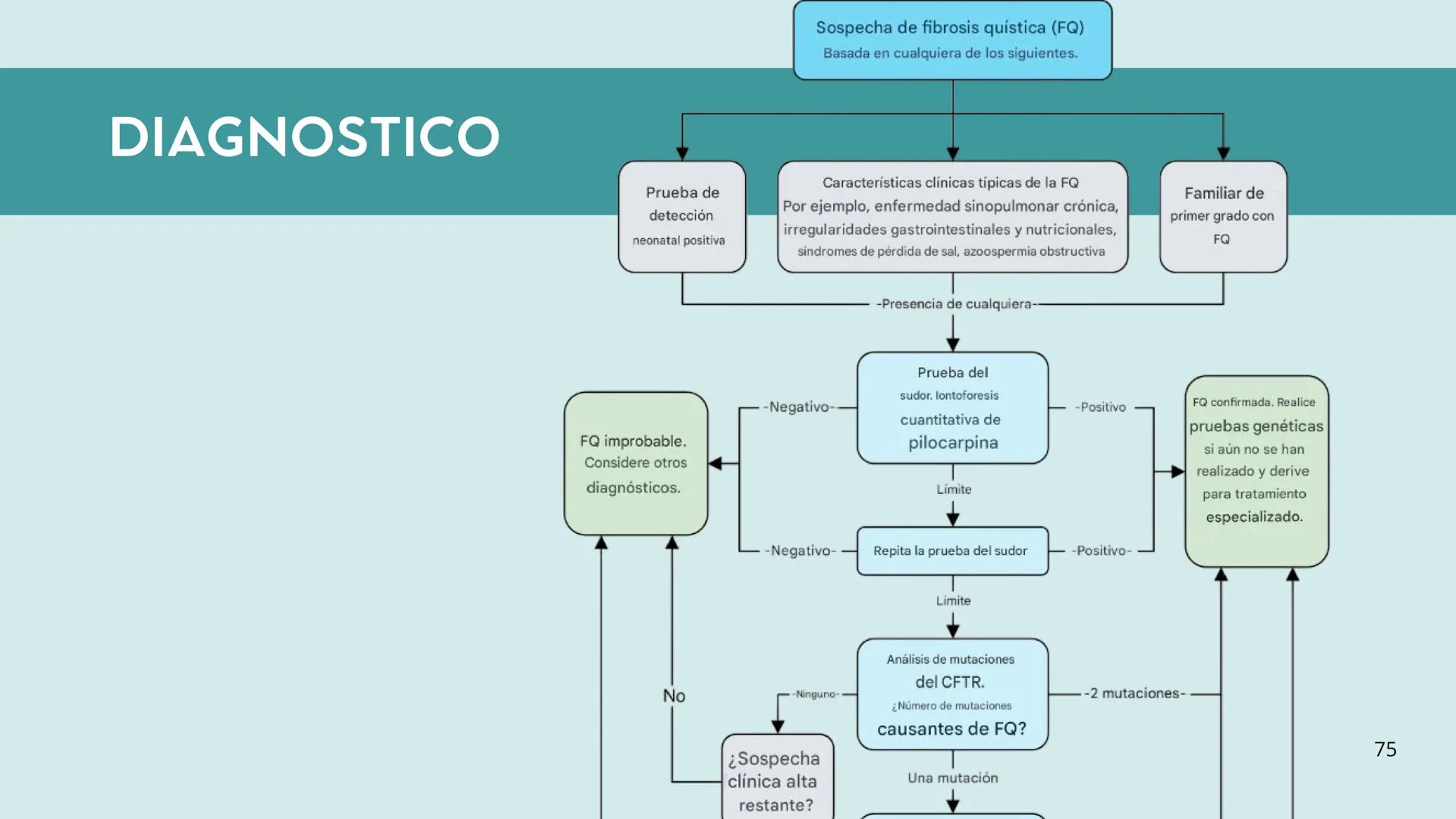 • Colesterol
• Electrolitos y
agua
• Sales Biliares
• Bilirrubina
• Fosfolipidos
FORMACIÓN DE LA
BILIS
Canal biliar
Arteria
Vena
Canaliculos