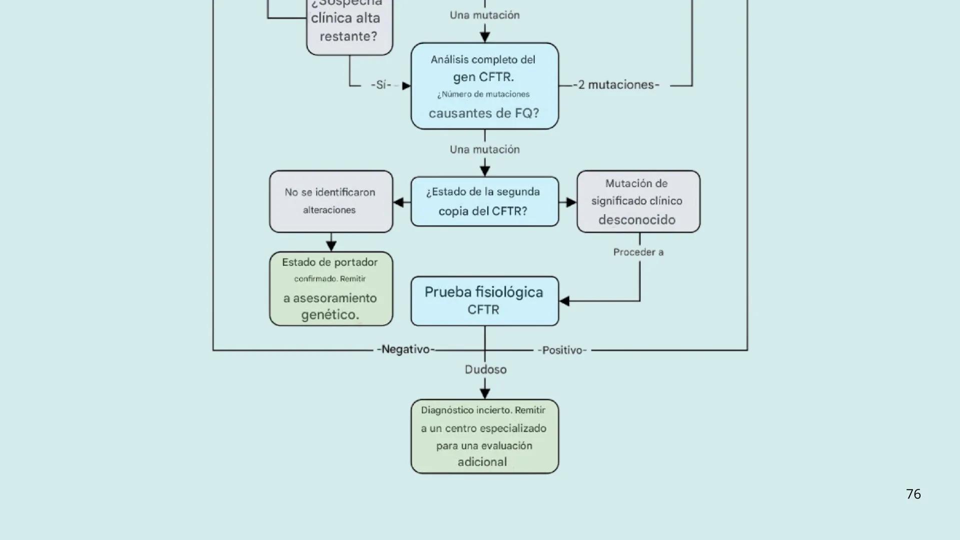 • Colesterol
• Electrolitos y
agua
• Sales Biliares
• Bilirrubina
• Fosfolipidos
FORMACIÓN DE LA
BILIS
Canal biliar
Arteria
Vena
Canaliculos