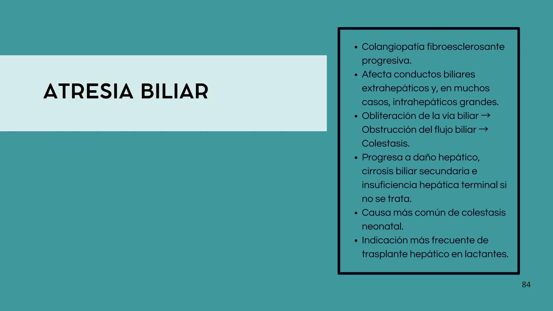 • Colesterol
• Electrolitos y
agua
• Sales Biliares
• Bilirrubina
• Fosfolipidos
FORMACIÓN DE LA
BILIS
Canal biliar
Arteria
Vena
Canaliculos