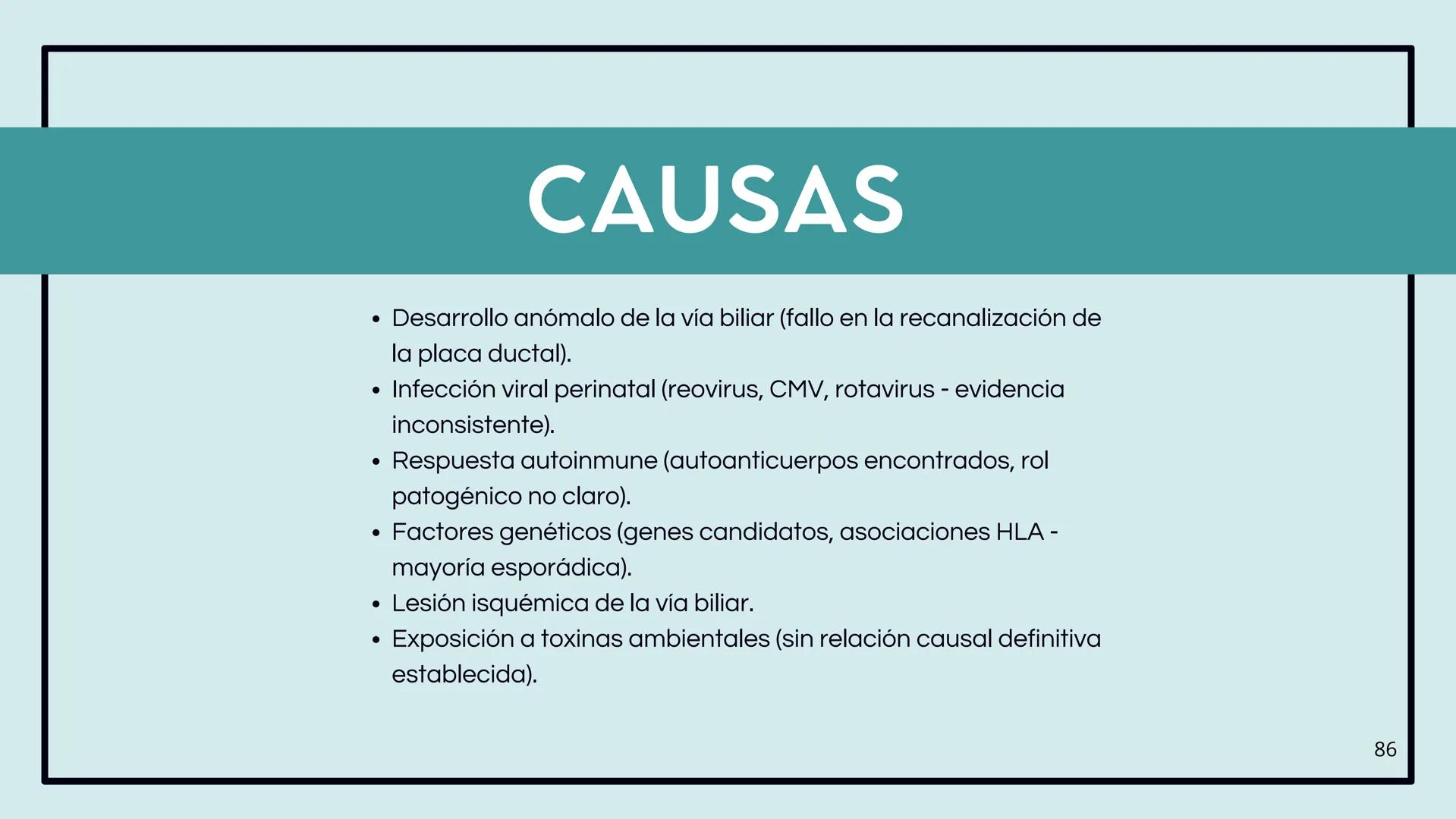 • Colesterol
• Electrolitos y
agua
• Sales Biliares
• Bilirrubina
• Fosfolipidos
FORMACIÓN DE LA
BILIS
Canal biliar
Arteria
Vena
Canaliculos