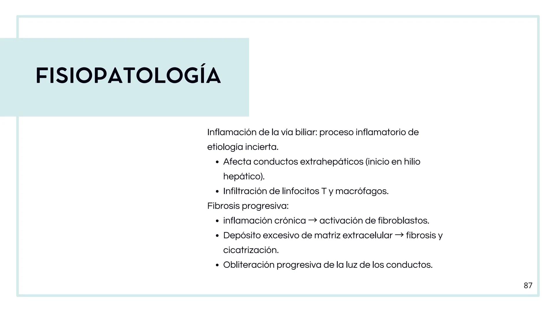 • Colesterol
• Electrolitos y
agua
• Sales Biliares
• Bilirrubina
• Fosfolipidos
FORMACIÓN DE LA
BILIS
Canal biliar
Arteria
Vena
Canaliculos