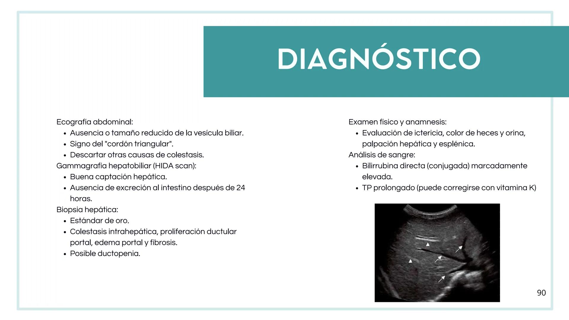 • Colesterol
• Electrolitos y
agua
• Sales Biliares
• Bilirrubina
• Fosfolipidos
FORMACIÓN DE LA
BILIS
Canal biliar
Arteria
Vena
Canaliculos