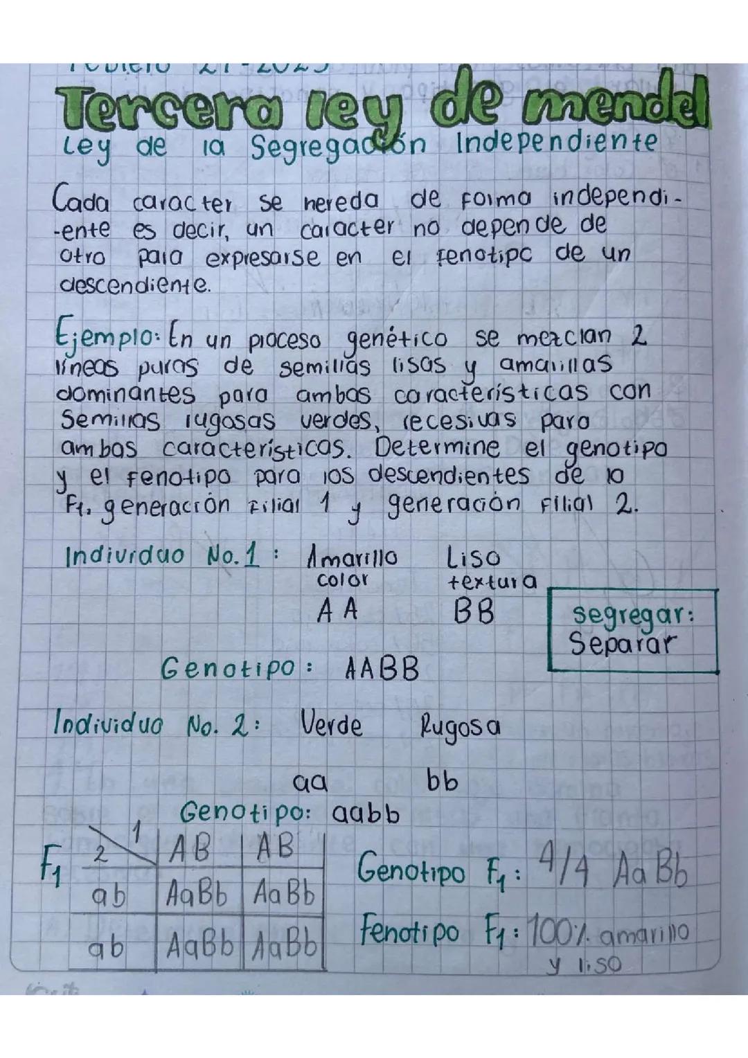 Tercera ley de Mendel