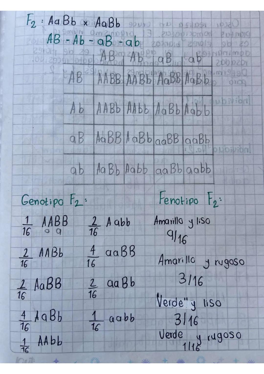 Tercera ley de mendel
Ley de
a Segregación Independiente
Cada caracter Se hereda de forma independi-
-ente es decir, un caracter no depende