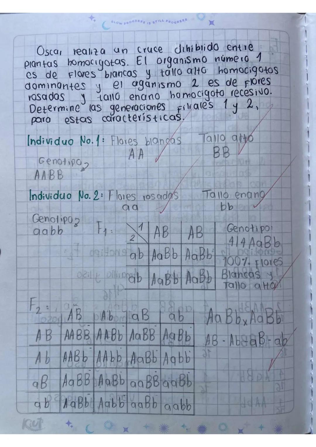 Tercera ley de mendel
Ley de
a Segregación Independiente
Cada caracter Se hereda de forma independi-
-ente es decir, un caracter no depende