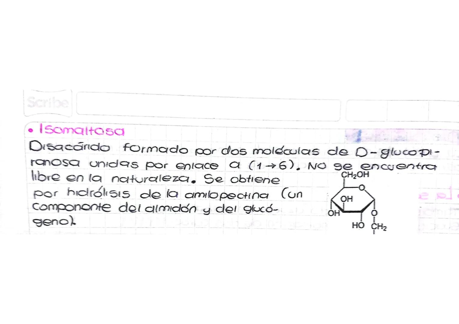 Scribe
Disacandes
La unión de dos unidades de monosacáridos forman disa-
caridos, como es el caso de:
.La sacarosa
También denominado "azuca