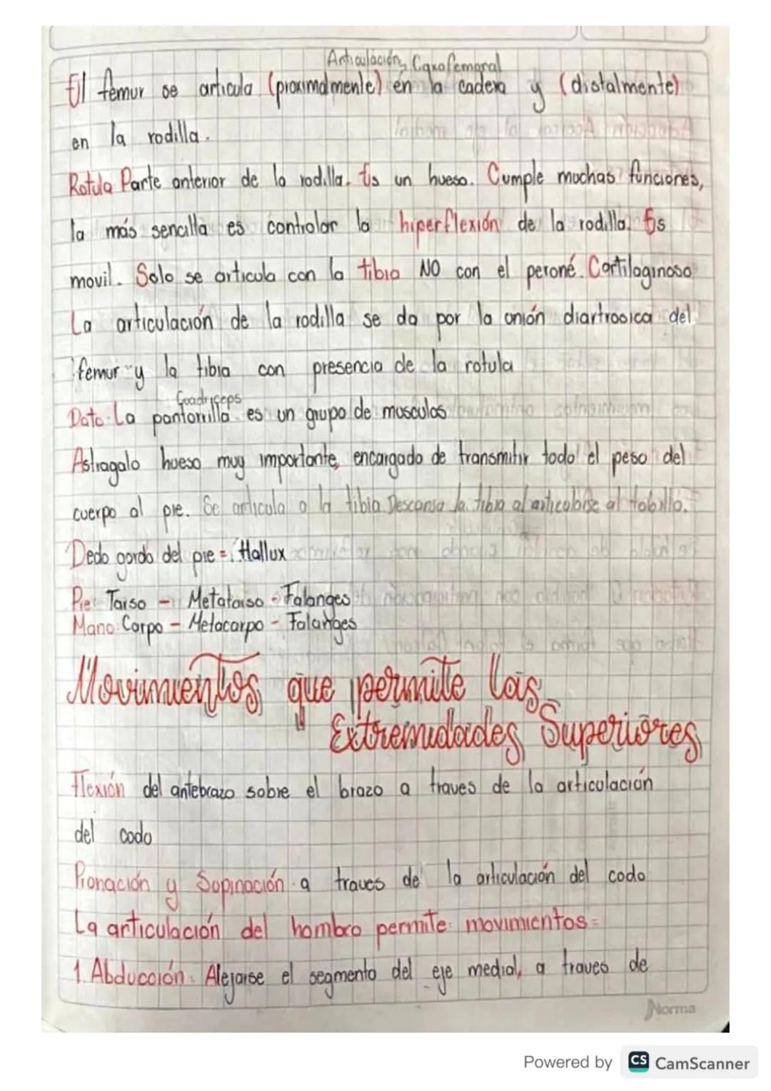 La fuerca la hace el musculo la palanca es el hueso.
61 Musculo en el movimiento hace la fuerza, desplazamiento
Partes del hueso
Cartilago a