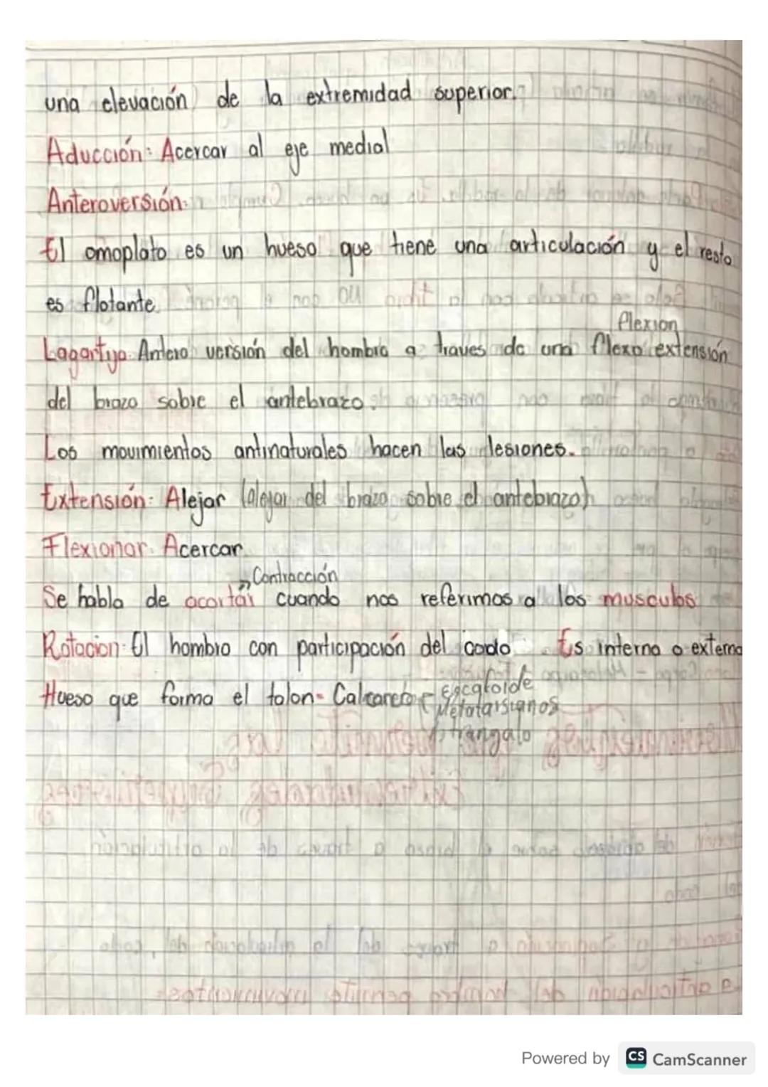 La fuerca la hace el musculo la palanca es el hueso.
61 Musculo en el movimiento hace la fuerza, desplazamiento
Partes del hueso
Cartilago a