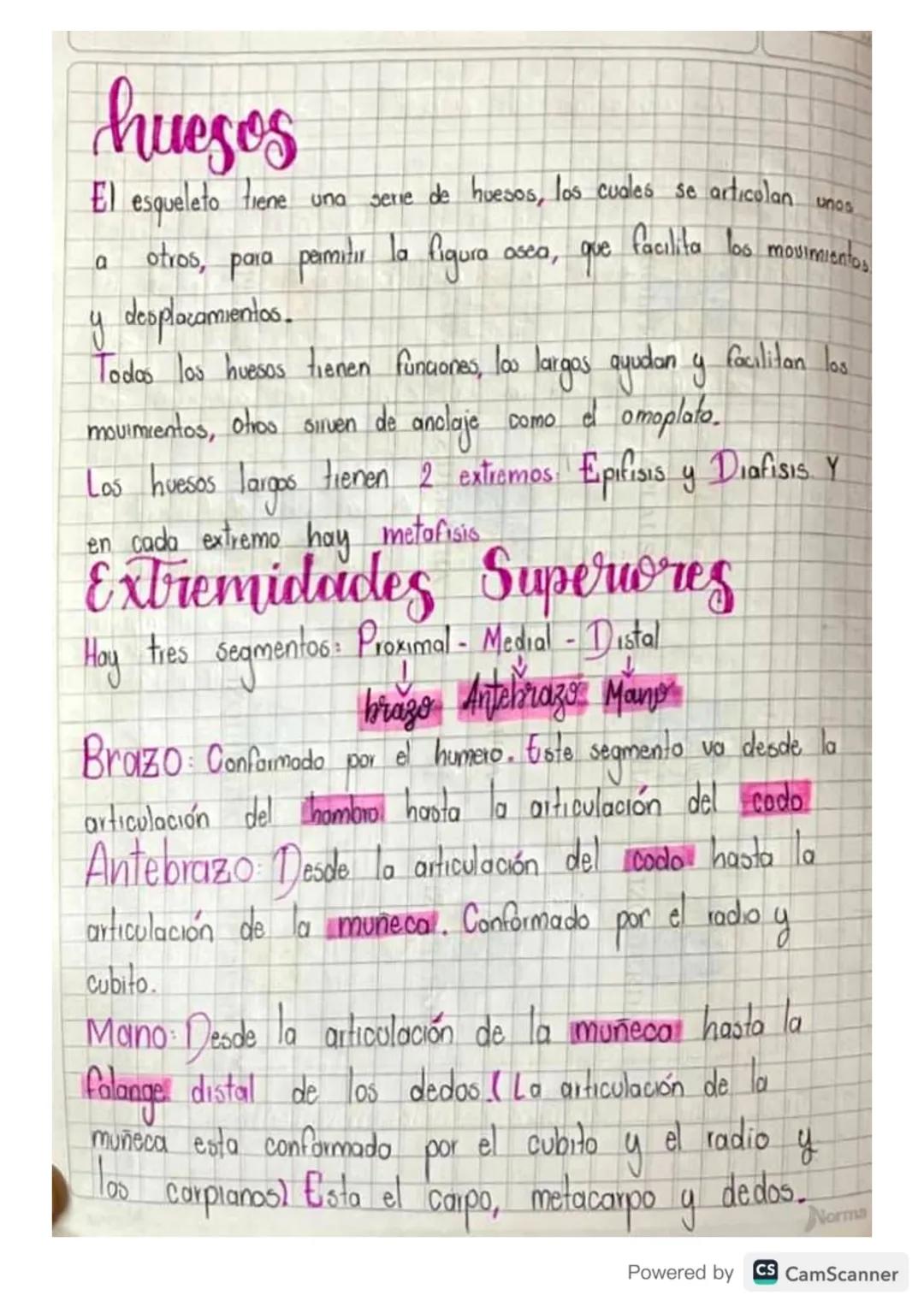 La fuerca la hace el musculo la palanca es el hueso.
61 Musculo en el movimiento hace la fuerza, desplazamiento
Partes del hueso
Cartilago a