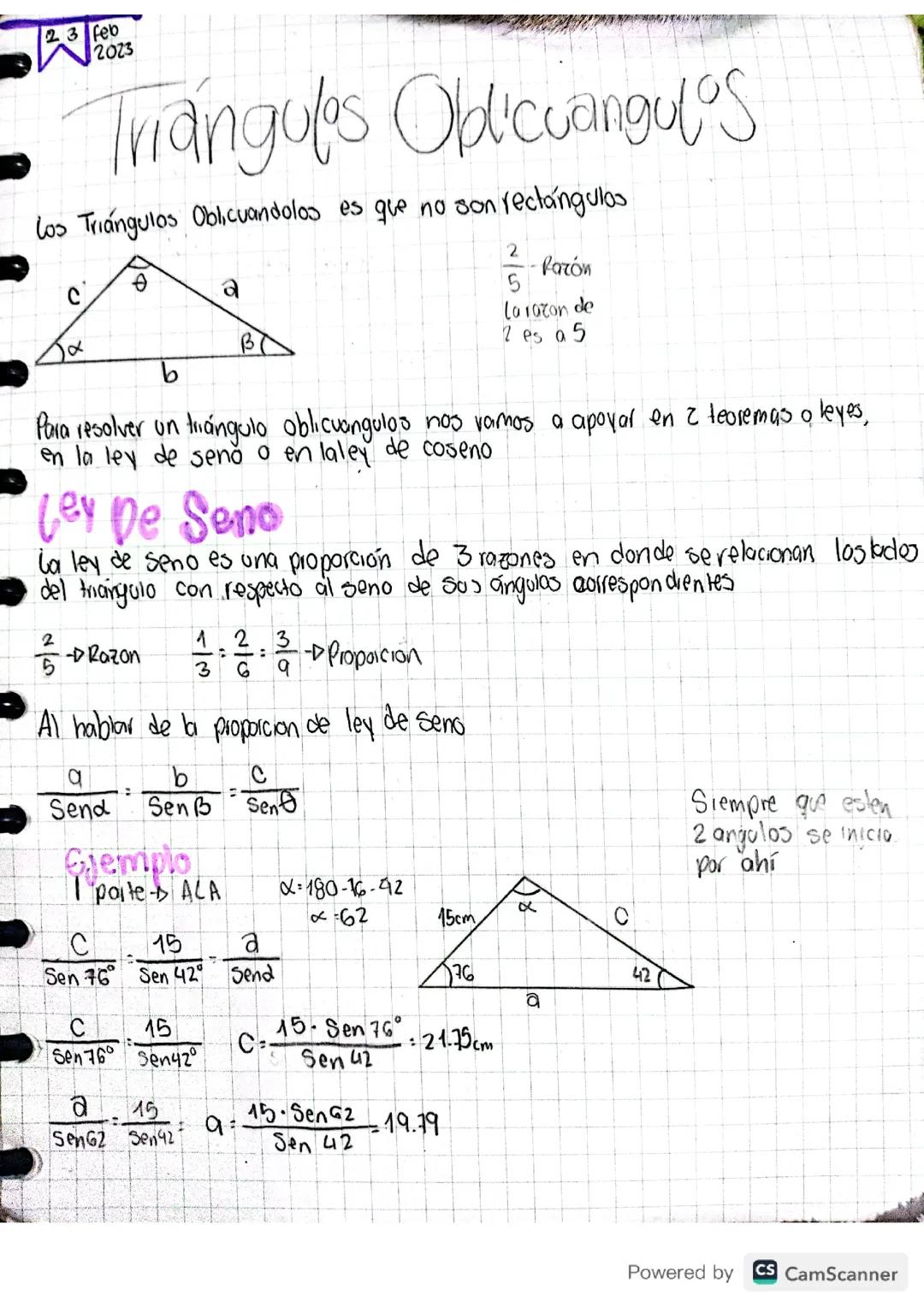 Triangulos Oblicuangulos