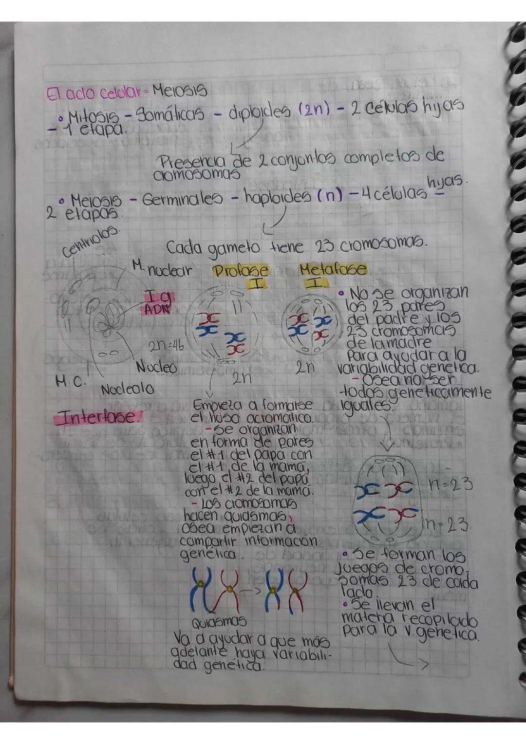 BIOLOGÍA: DIVICION CELULAR