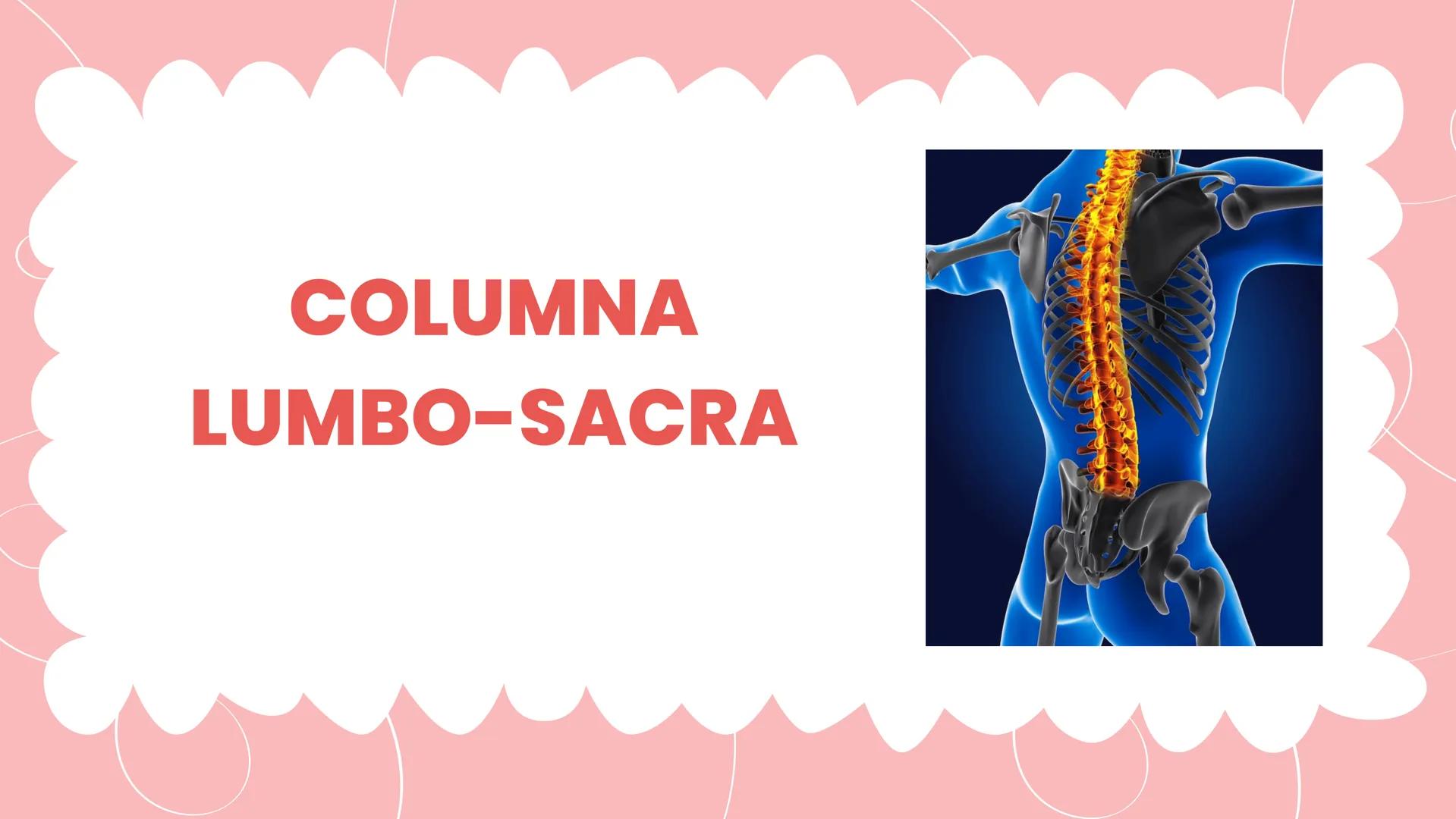 COLUMNA
LUMBO-SACRA MOVILIDAD ARTICULAR:
FLEXIÓN DE COLUMNA.
LA FLEXIÓN DE COLUMNA ES UN
MOVIMIENTO ARTICULAR QUE
CONSISTE EN LA DISMINUCIÓN