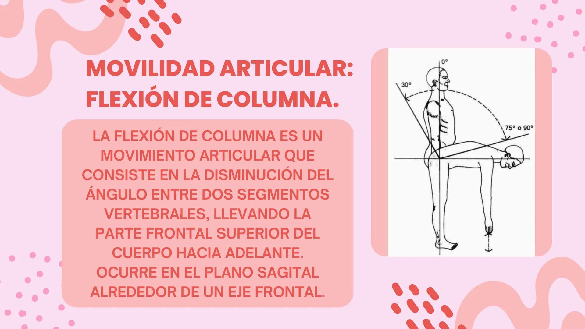 COLUMNA
LUMBO-SACRA MOVILIDAD ARTICULAR:
FLEXIÓN DE COLUMNA.
LA FLEXIÓN DE COLUMNA ES UN
MOVIMIENTO ARTICULAR QUE
CONSISTE EN LA DISMINUCIÓN