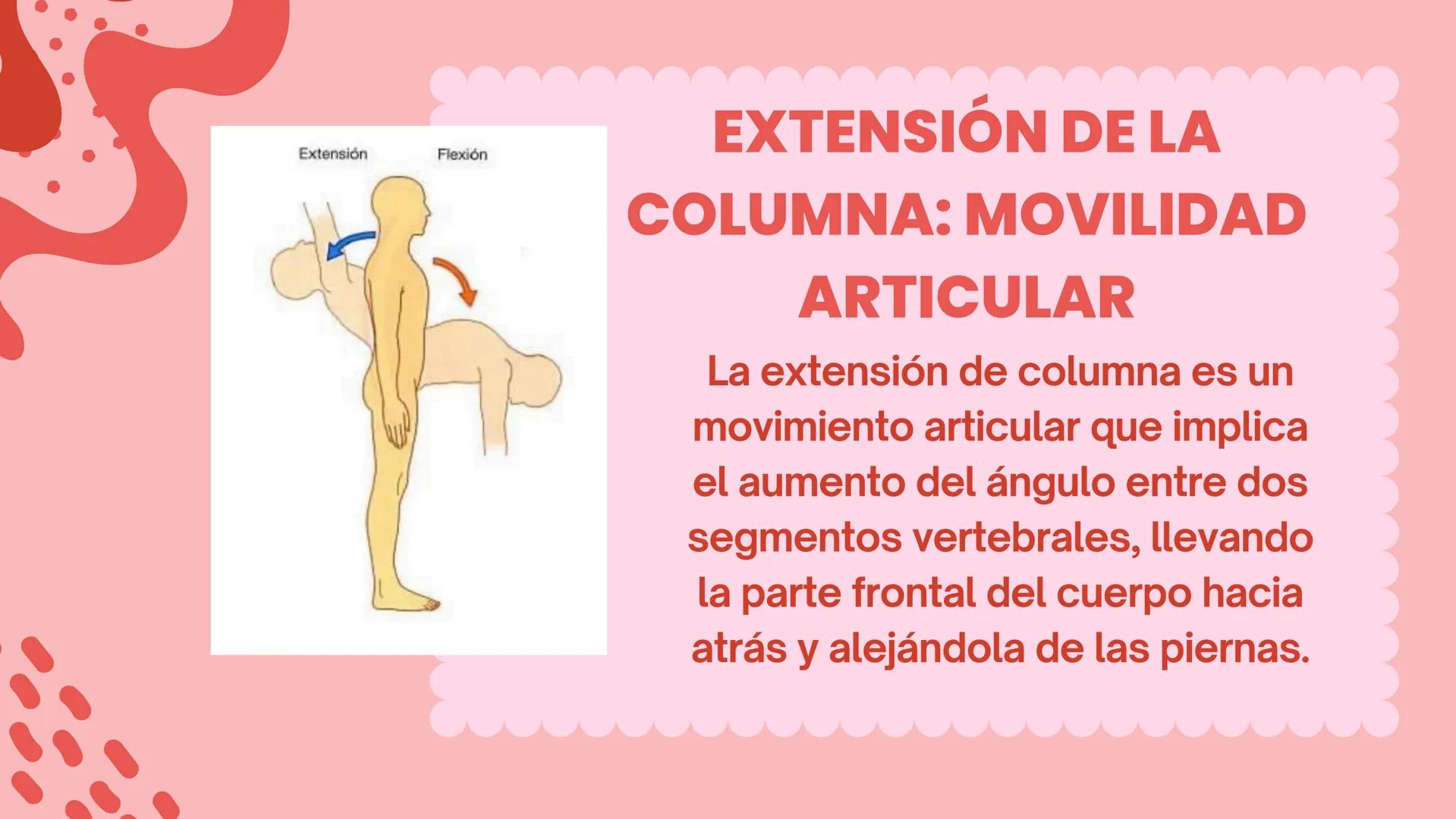 COLUMNA
LUMBO-SACRA MOVILIDAD ARTICULAR:
FLEXIÓN DE COLUMNA.
LA FLEXIÓN DE COLUMNA ES UN
MOVIMIENTO ARTICULAR QUE
CONSISTE EN LA DISMINUCIÓN