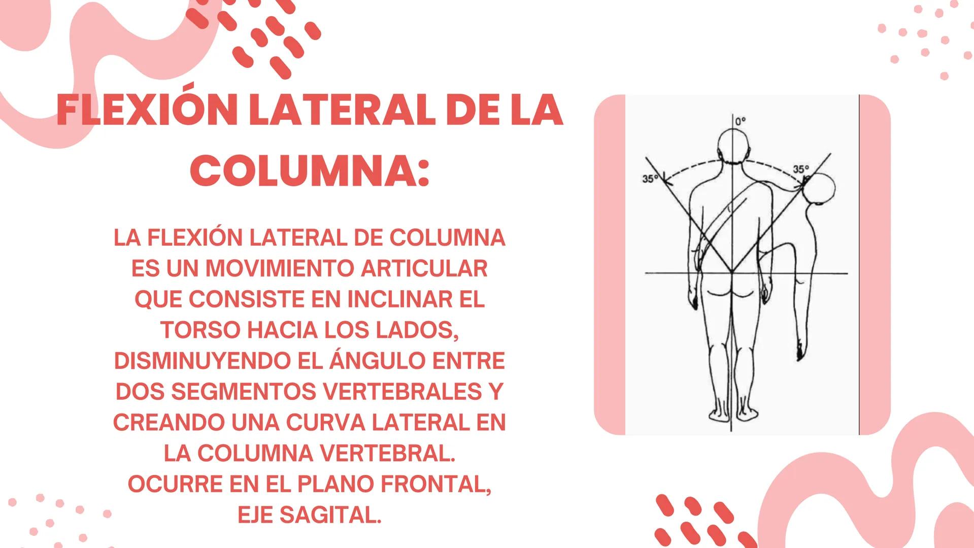 COLUMNA
LUMBO-SACRA MOVILIDAD ARTICULAR:
FLEXIÓN DE COLUMNA.
LA FLEXIÓN DE COLUMNA ES UN
MOVIMIENTO ARTICULAR QUE
CONSISTE EN LA DISMINUCIÓN