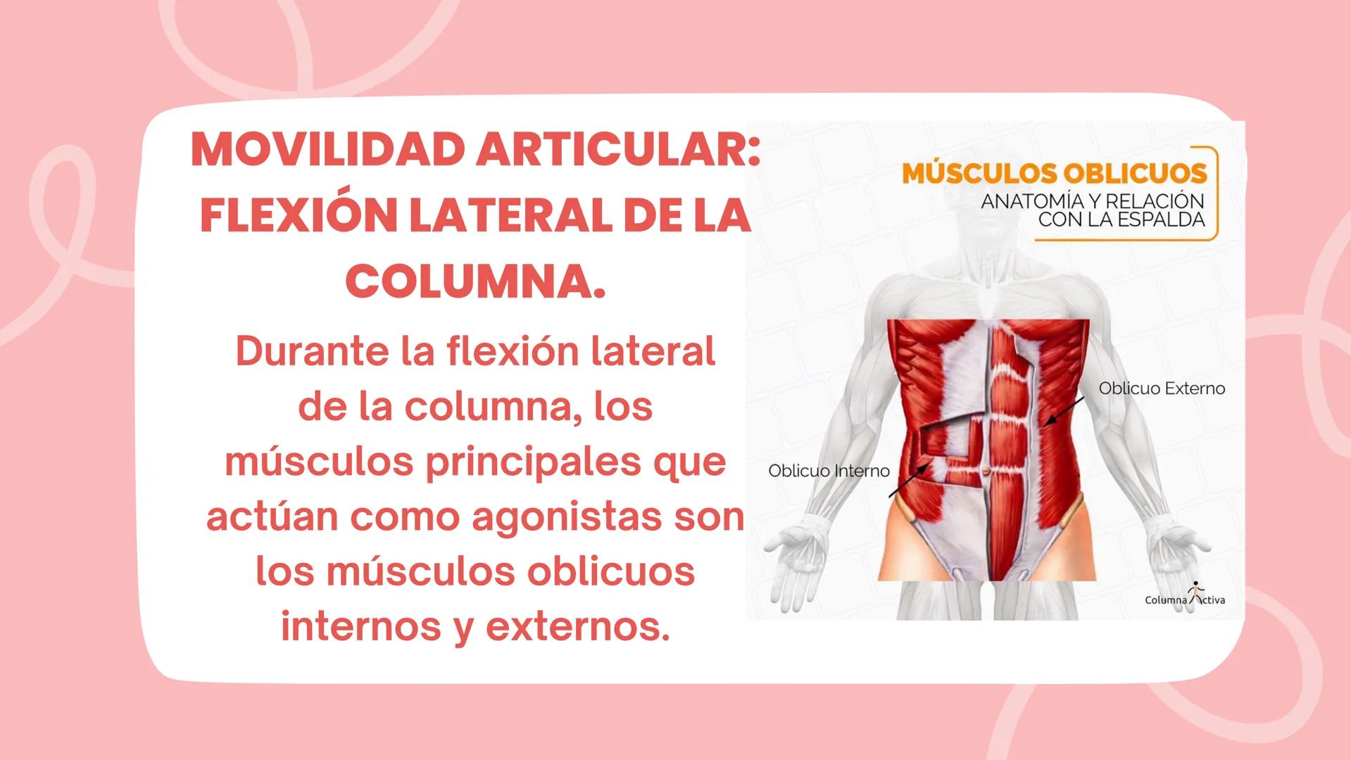 COLUMNA
LUMBO-SACRA MOVILIDAD ARTICULAR:
FLEXIÓN DE COLUMNA.
LA FLEXIÓN DE COLUMNA ES UN
MOVIMIENTO ARTICULAR QUE
CONSISTE EN LA DISMINUCIÓN