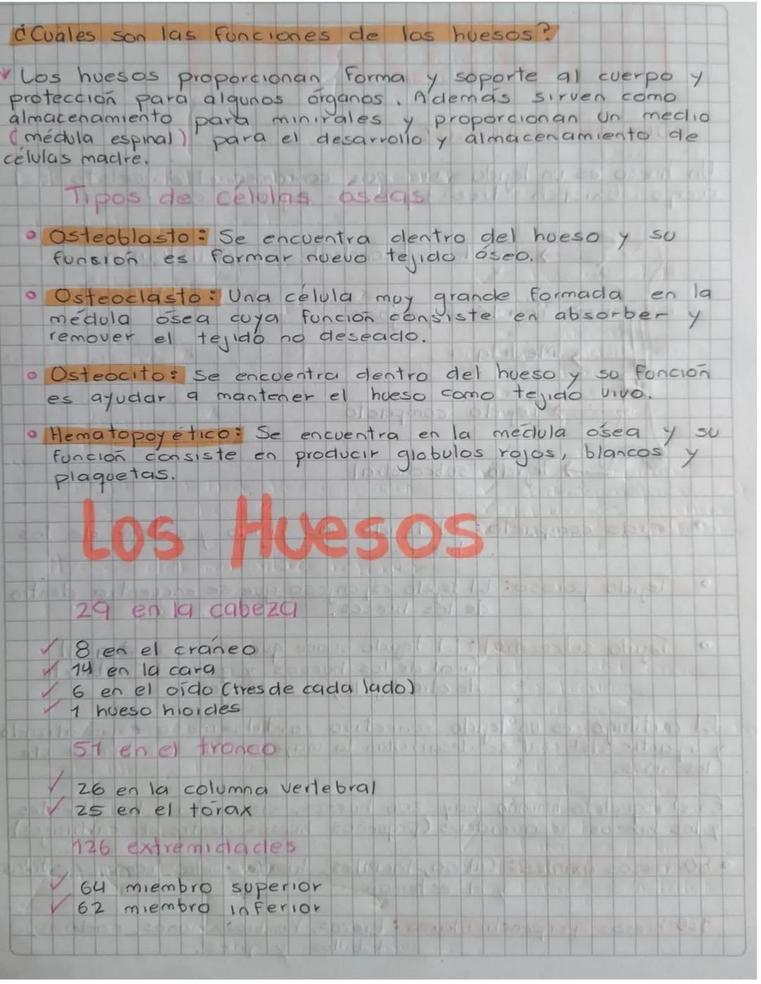 Anatomía
CQue es un hueso?
Un hueso es un tejido vivo que conforma el esqueleto del
tres tipos de tejido oseo
cuerpo
Existen
>
Tejido subcon