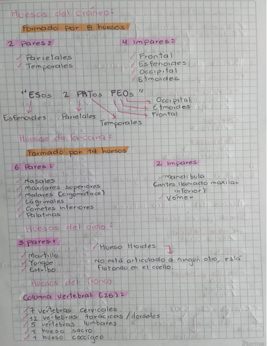 Anatomía
CQue es un hueso?
Un hueso es un tejido vivo que conforma el esqueleto del
tres tipos de tejido oseo
cuerpo
Existen
>
Tejido subcon