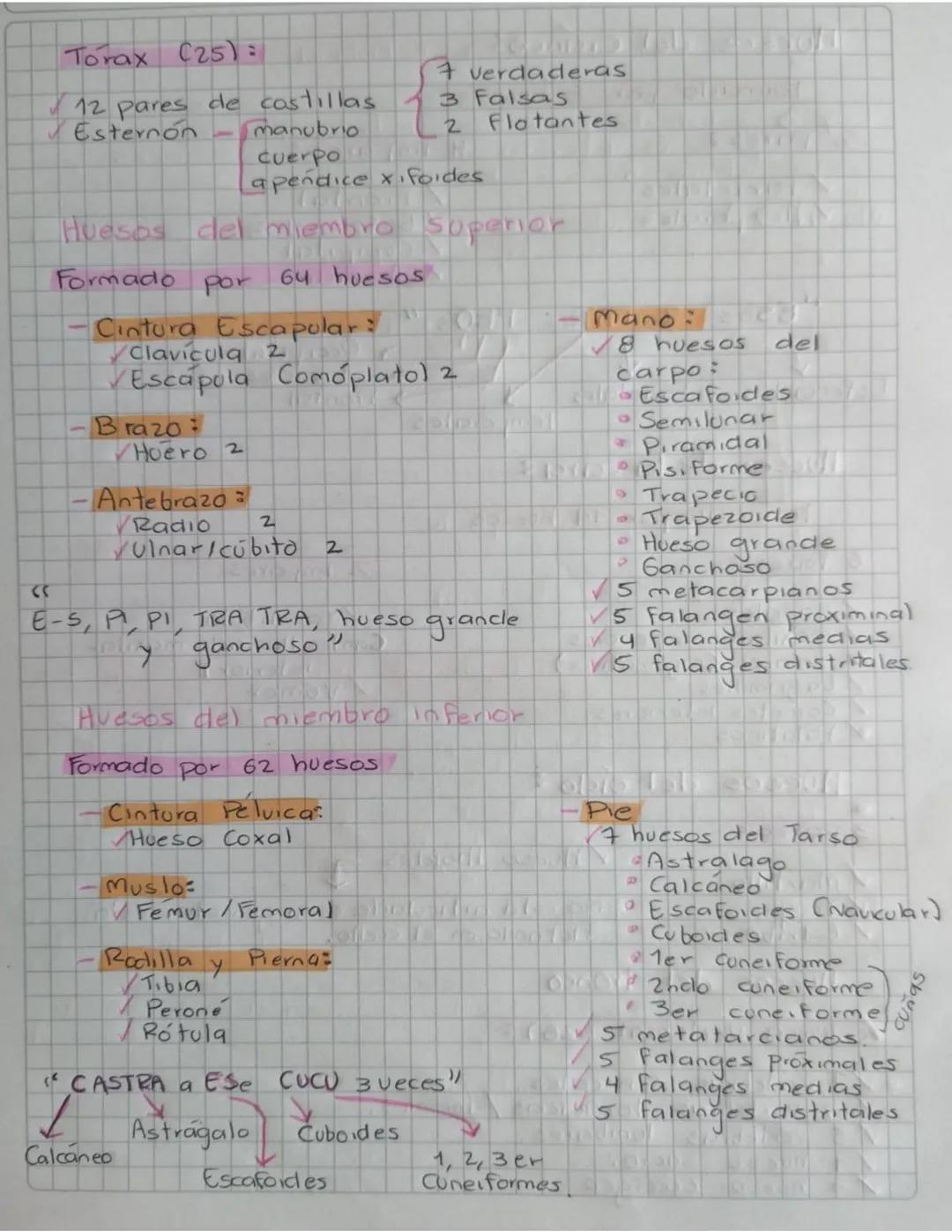 Anatomía
CQue es un hueso?
Un hueso es un tejido vivo que conforma el esqueleto del
tres tipos de tejido oseo
cuerpo
Existen
>
Tejido subcon