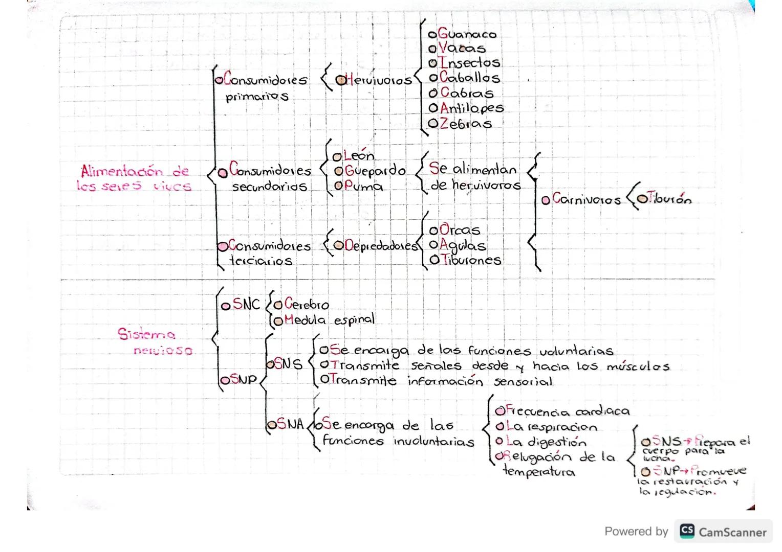 20
organizadores
Es una representación grafica de la asociación de ideas.
conceptos que se relacionan entre si y entre los cuales se
estable
